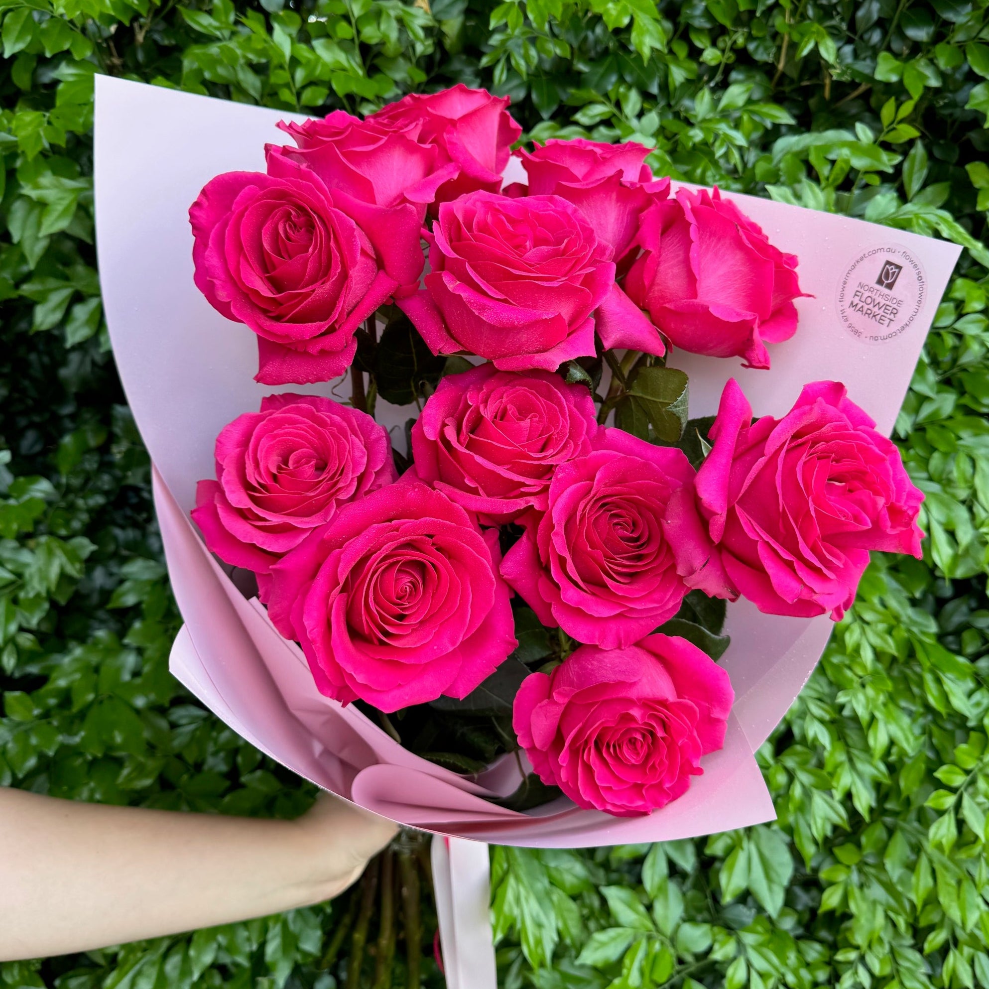 DOZEN PINK ROSES