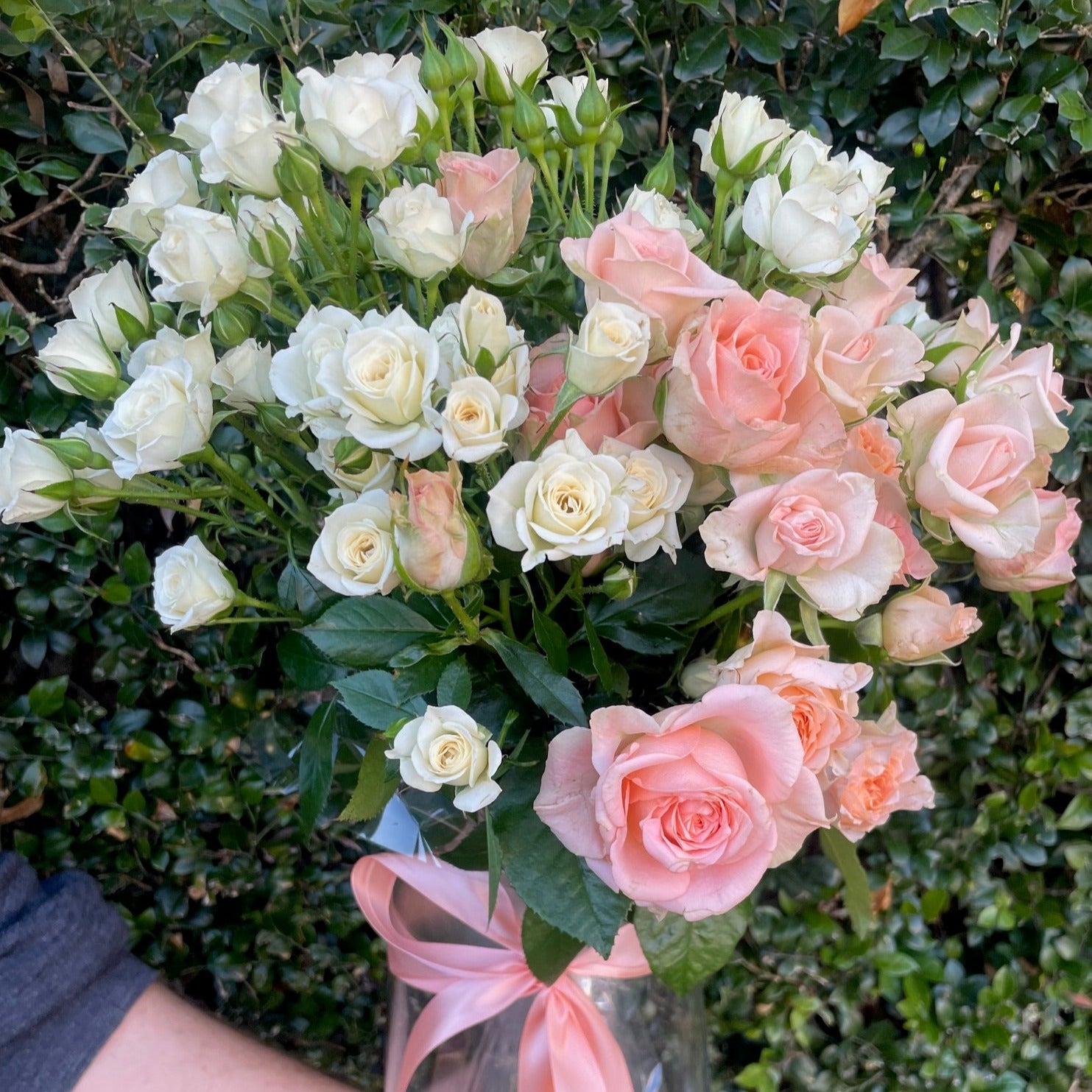 SPRAY ROSES IN VASE