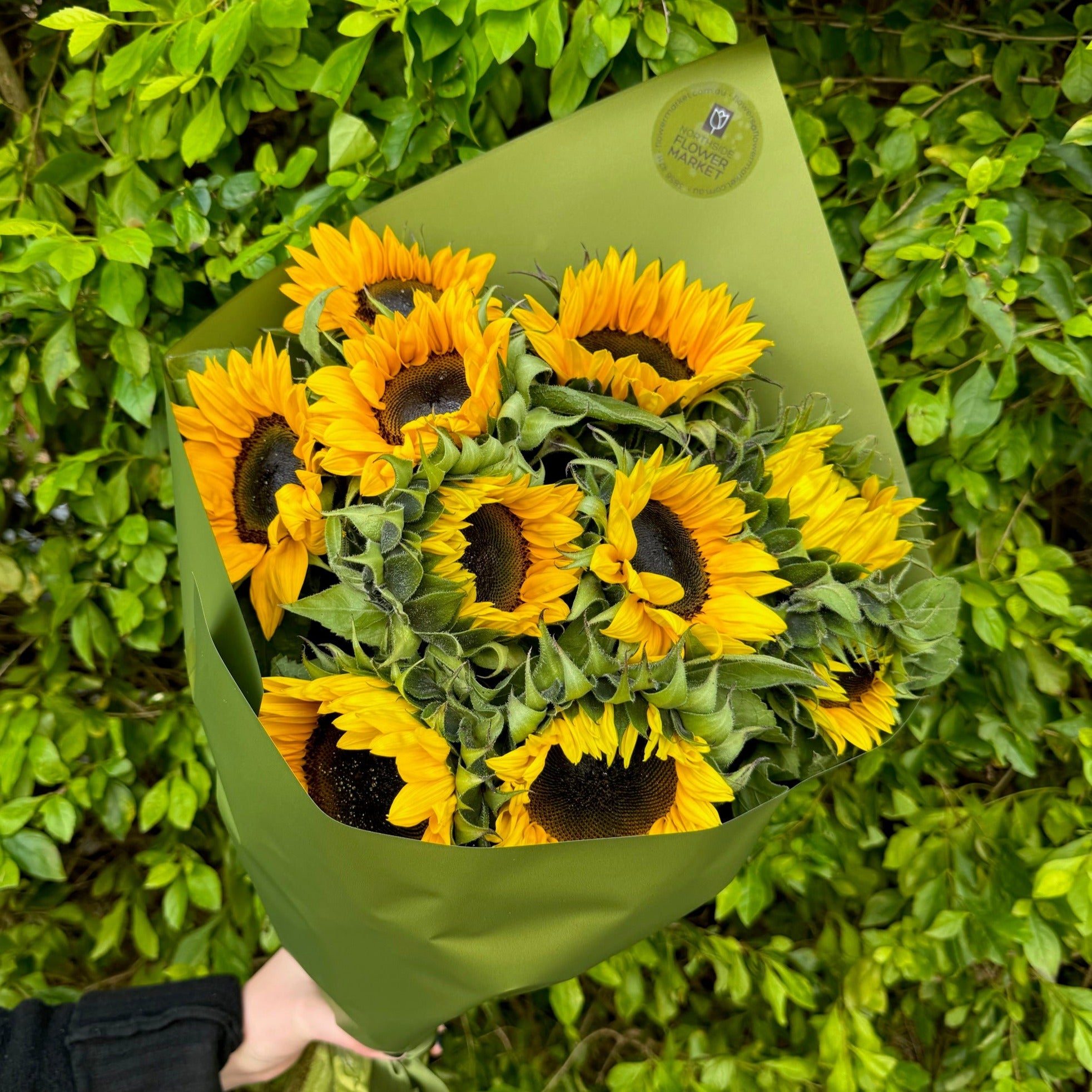 SUNFLOWER MARKET WRAP